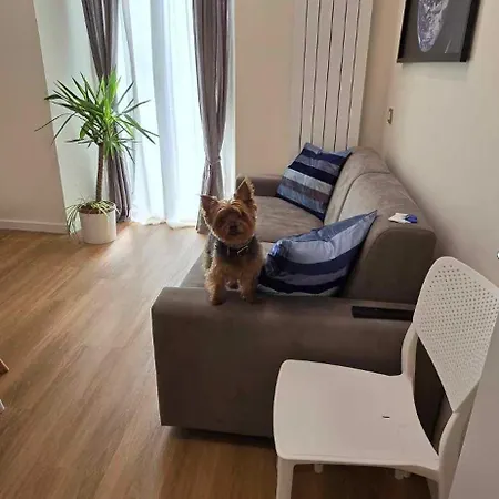 The Dream 100 M Dal Mare Apartment *