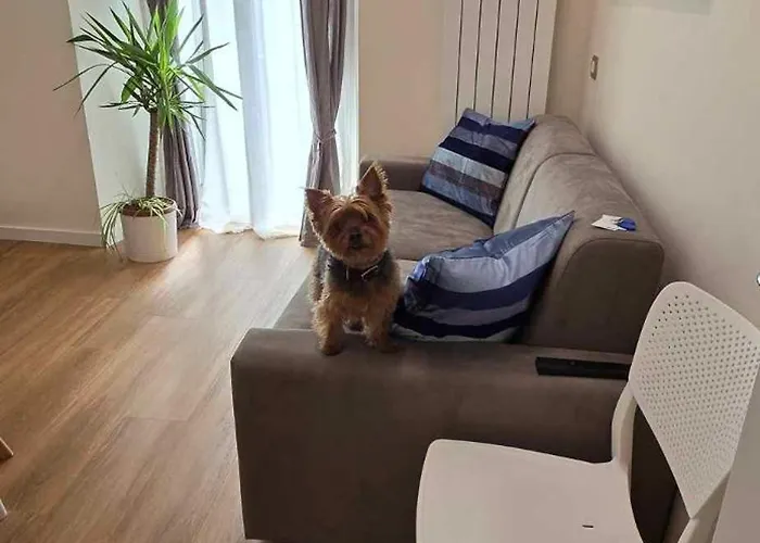 The Dream 100 M Dal Mare Apartamento *